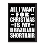 All I Want For Christmas Is My Brazilian Shorthair - Portrait Frame Photo Tile