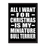 All I Want For Christmas Is My Miniature Bull Terrier - Portrait Frame Photo Tile