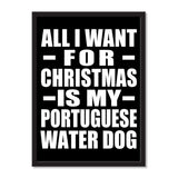 All I Want For Christmas Is My Portuguese Water Dog - Portrait Frame Photo Tile