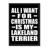 All I Want For Christmas Is My Lakeland Terrier - Portrait Frame Photo Tile