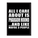 All I Care About Is Pharaoh Hound And Like Maybe 3 People - Portrait Frame Photo Tile
