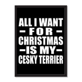 All I Want For Christmas Is My Cesky Terrier - Portrait Frame Photo Tile