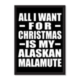 All I Want For Christmas Is My Alaskan Malamute - Portrait Frame Photo Tile