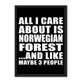 All I Care About Is Norwegian Forest And Like Maybe 3 People - Portrait Frame Photo Tile