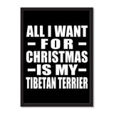 All I Want For Christmas Is My Tibetan Terrier - Portrait Frame Photo Tile