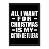 All I Want For Christmas Is My Coton De Tulear - Portrait Frame Photo Tile