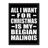 All I Want For Christmas Is My Belgian Malinois - Portrait Frame Photo Tile