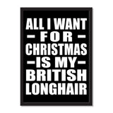 All I Want For Christmas Is My British Longhair - Portrait Frame Photo Tile