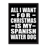 All I Want For Christmas Is My Spanish Water Dog - Portrait Frame Photo Tile
