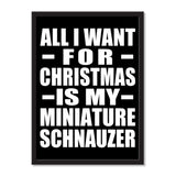 All I Want For Christmas Is My Miniature Schnauzer - Portrait Frame Photo Tile