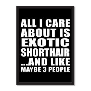 All I Care About Is Exotic Shorthair And Like Maybe 3 People - Portrait Frame Photo Tile