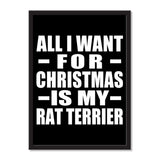 All I Want For Christmas Is My Rat Terrier - Portrait Frame Photo Tile
