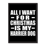 All I Want For Christmas Is My Harrier Dog - Portrait Frame Photo Tile