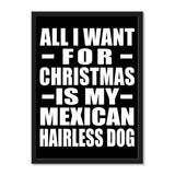 All I Want For Christmas Is My Mexican Hairless Dog - Portrait Frame Photo Tile