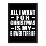 All I Want For Christmas Is My Biewer Terrier - Portrait Frame Photo Tile