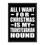 All I Want For Christmas Is My Transylvanian Hound - Portrait Frame Photo Tile