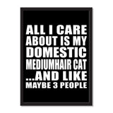 All I Care About Is My Domestic Mediumhair Cat And Like Maybe 3 People - Portrait Frame Photo Tile