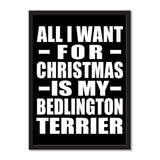 All I Want For Christmas Is My Bedlington Terrier - Portrait Frame Photo Tile