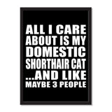 All I Care About Is My Domestic Shorthair Cat And Like Maybe 3 People - Portrait Frame Photo Tile