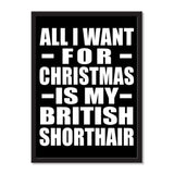 All I Want For Christmas Is My British Shorthair - Portrait Frame Photo Tile