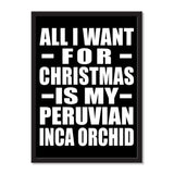 All I Want For Christmas Is My Peruvian Inca Orchid - Portrait Frame Photo Tile