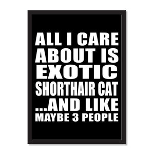 All I Care About Is Exotic Shorthair Cat And Like Maybe 3 People - Portrait Frame Photo Tile