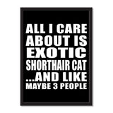 All I Care About Is Exotic Shorthair Cat And Like Maybe 3 People - Portrait Frame Photo Tile