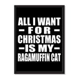 All I Want For Christmas Is My Ragamuffin Cat - Portrait Frame Photo Tile