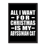 All I Want For Christmas Is My Abyssinian Cat - Portrait Frame Photo Tile