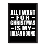 All I Want For Christmas Is My Ibizan Hound - Portrait Frame Photo Tile