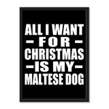 All I Want For Christmas Is My Maltese Dog - Portrait Frame Photo Tile