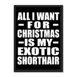 All I Want For Christmas Is My Exotic Shorthair - Portrait Frame Photo Tile