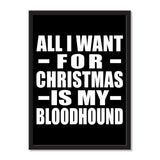 All I Want For Christmas Is My Bloodhound - Portrait Frame Photo Tile