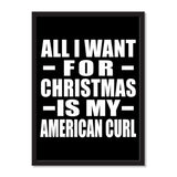 All I Want For Christmas Is My American Curl - Portrait Frame Photo Tile