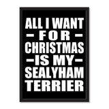 All I Want For Christmas Is My Sealyham Terrier - Portrait Frame Photo Tile