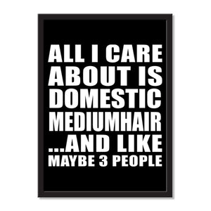 All I Care About Is Domestic Mediumhair And Like Maybe 3 People - Portrait Frame Photo Tile