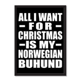 All I Want For Christmas Is My Norwegian Buhund - Portrait Frame Photo Tile