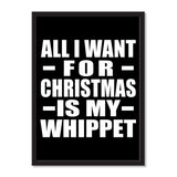 All I Want For Christmas Is My Whippet - Portrait Frame Photo Tile