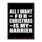 All I Want For Christmas Is My Harrier - Portrait Frame Photo Tile