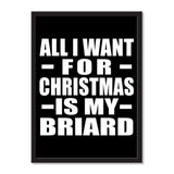 All I Want For Christmas Is My Briard - Portrait Frame Photo Tile