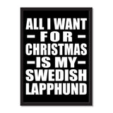 All I Want For Christmas Is My Swedish Lapphund - Portrait Frame Photo Tile