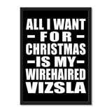 All I Want For Christmas Is My Wirehaired Vizsla - Portrait Frame Photo Tile