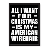 All I Want For Christmas Is My American Wirehair - Portrait Frame Photo Tile
