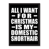 All I Want For Christmas Is My Domestic Shorthair - Portrait Frame Photo Tile