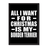 All I Want For Christmas Is My Border Terrier - Portrait Frame Photo Tile
