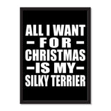 All I Want For Christmas Is My Silky Terrier - Portrait Frame Photo Tile