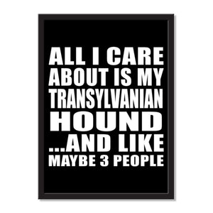All I Care About Is My Transylvanian Hound And Like Maybe 3 People - Portrait Frame Photo Tile