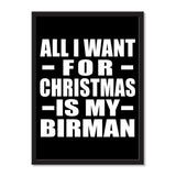 All I Want For Christmas Is My Birman - Portrait Frame Photo Tile