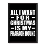 All I Want For Christmas Is My Pharaoh Hound - Portrait Frame Photo Tile