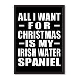 All I Want For Christmas Is My Irish Water Spaniel - Portrait Frame Photo Tile